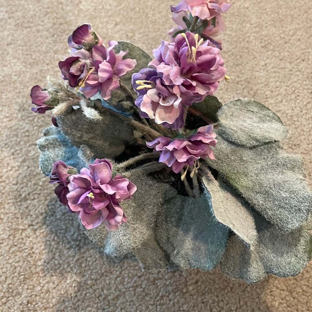 Mini faux African violet